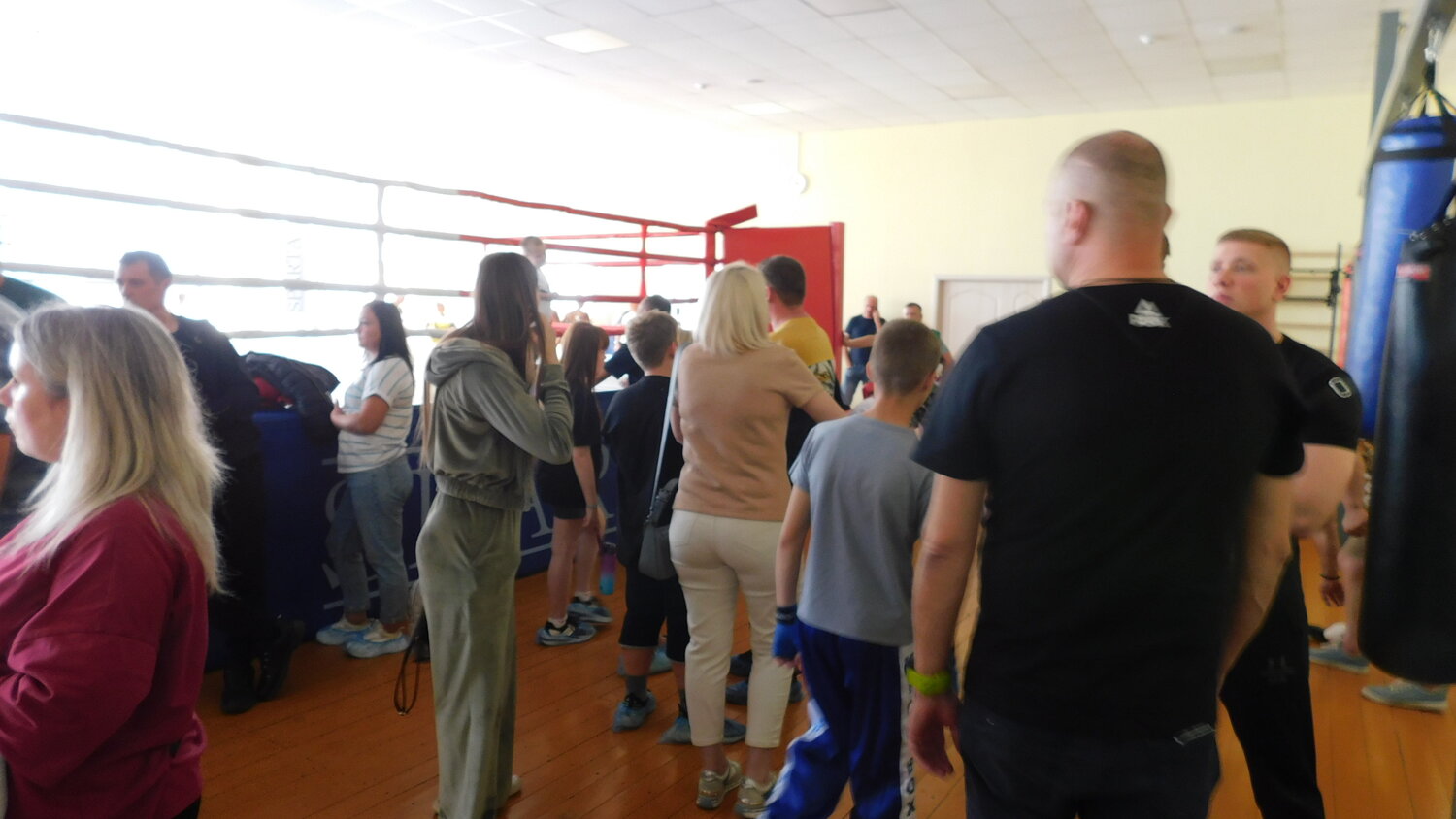 бокс, бокс спорт, тренировка по боксу, тренировка бокс, секция бокса