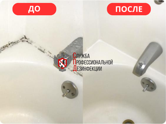 плесень в ванной, грибок в ванной, удаление грибка в ванной, грибок в ванной комнате, грибок в ванной на герметике