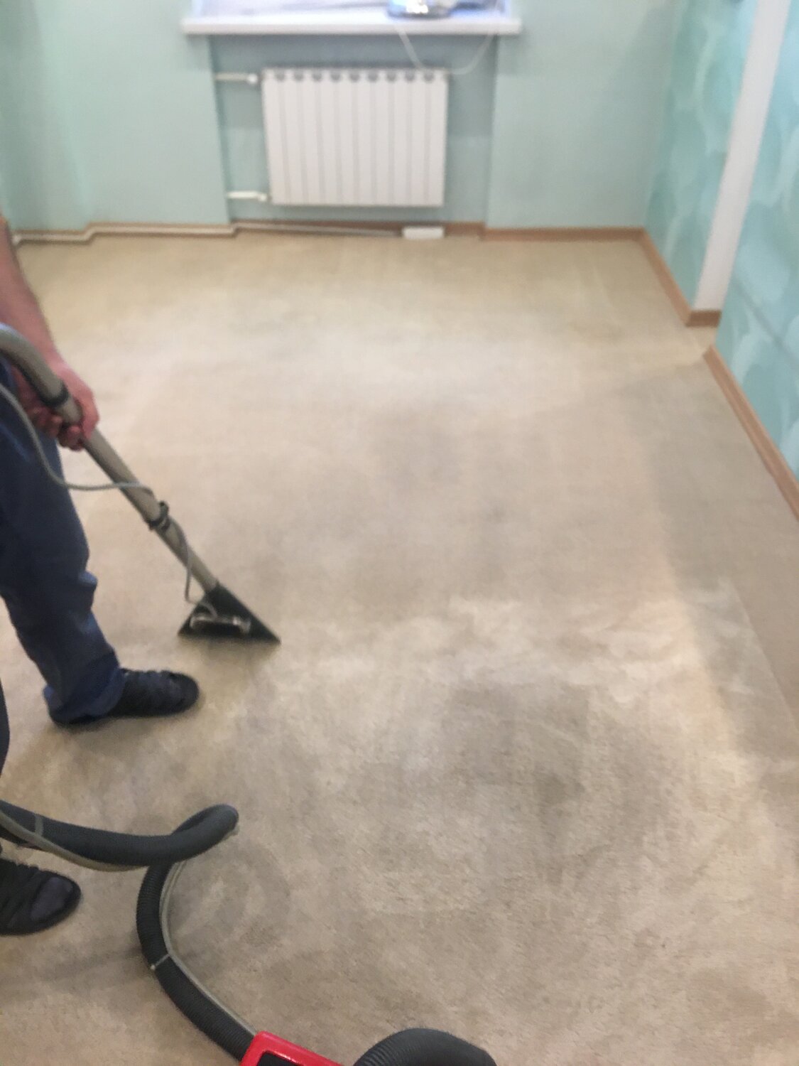carpet clean, чистка ковра, уборки, химчистка, химчистка на дому