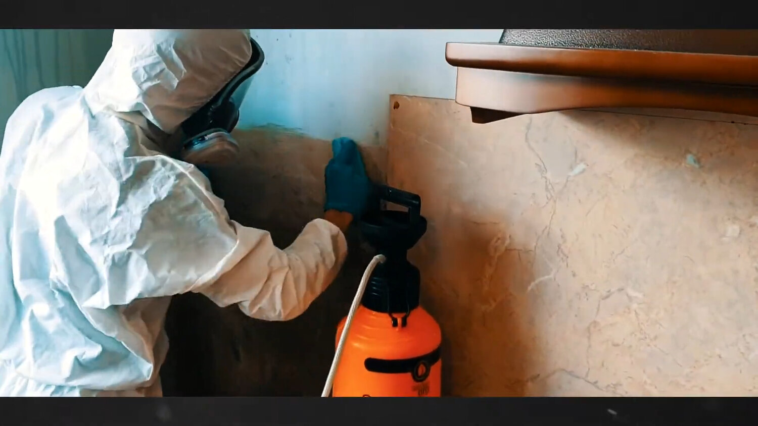 дезинсекция, дезинфекция, дезинсекция клопов туманом, аппарат для дезинфекция от клопов, дезинфекция от клопов