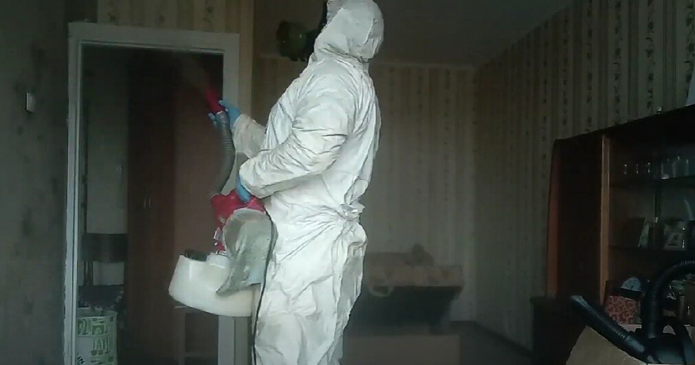 дезинсекция, уничтожение клопов, дезинфекция, дезинсекция и дератизация, дезинфекция дезинсекция дератизация