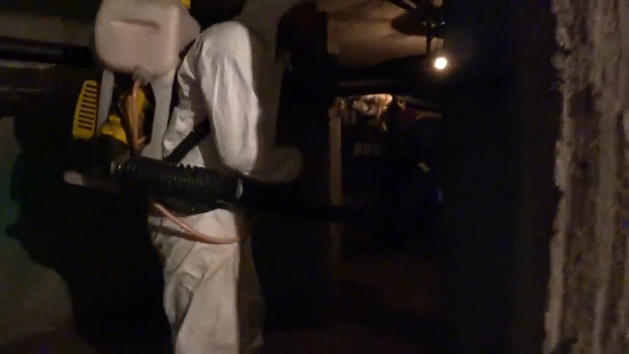 дезинфекция, дезинсекция и дератизация, дезинсекция, человек, дезинсекция подвалов