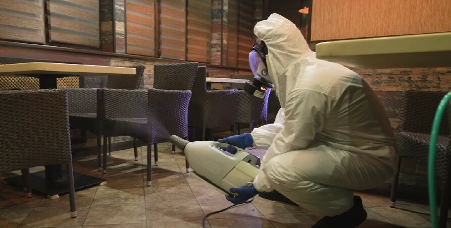 дезинфекция, дезинсекция, дезинфекция дезинсекция дератизация, дезинфекция от клопов, дезинфекция помещений