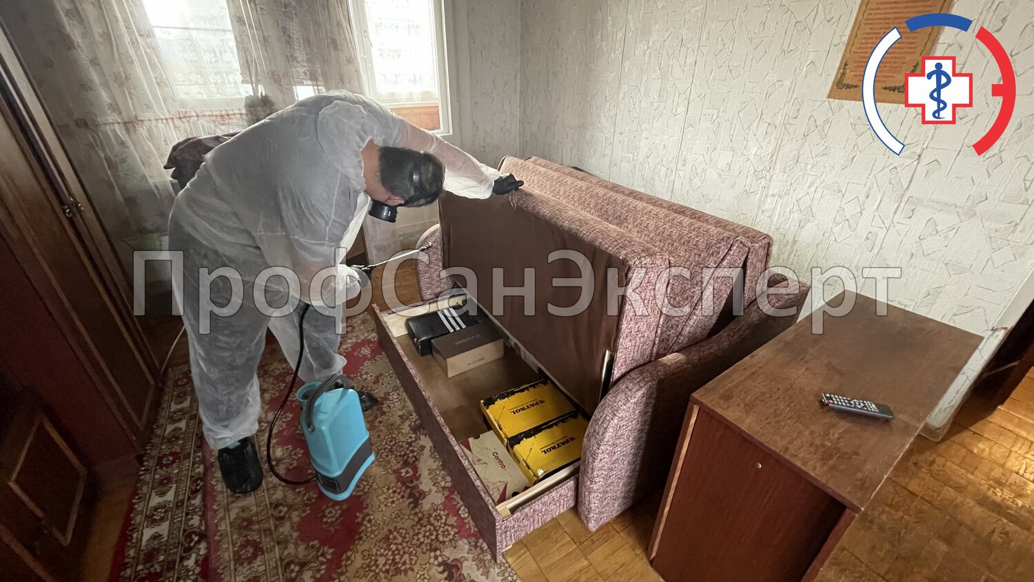 уничтожение клопов, дезинфекция от клопов, дезинсекция, обработка от клопов, дезинсекция клопов туманом