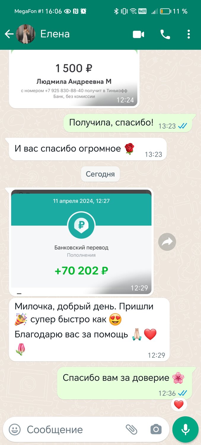 оплата, переписка, помощи, сообщение, мошенник