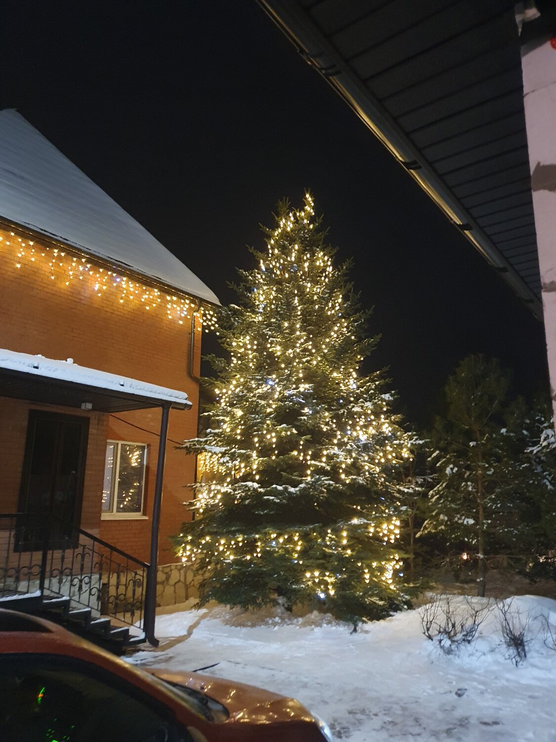 ёлка новогодняя, новогоднее украшение, christmas tree, новогоднее оформление, елка с гирляндой