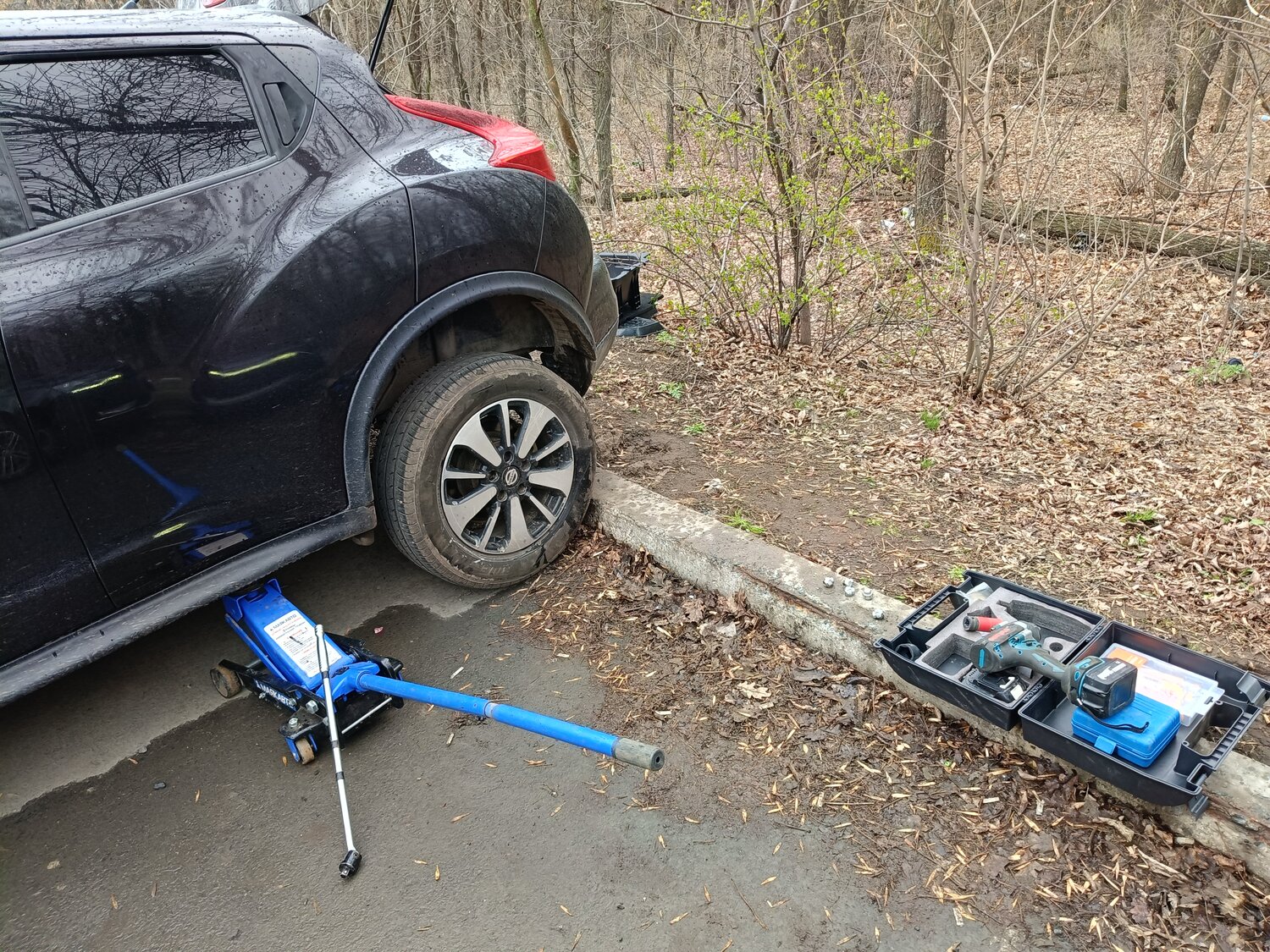 ниссан жук 2012, nissan juke 2011, ниссан жук 2013, ниссан жук 2011, ниссан жук 2015