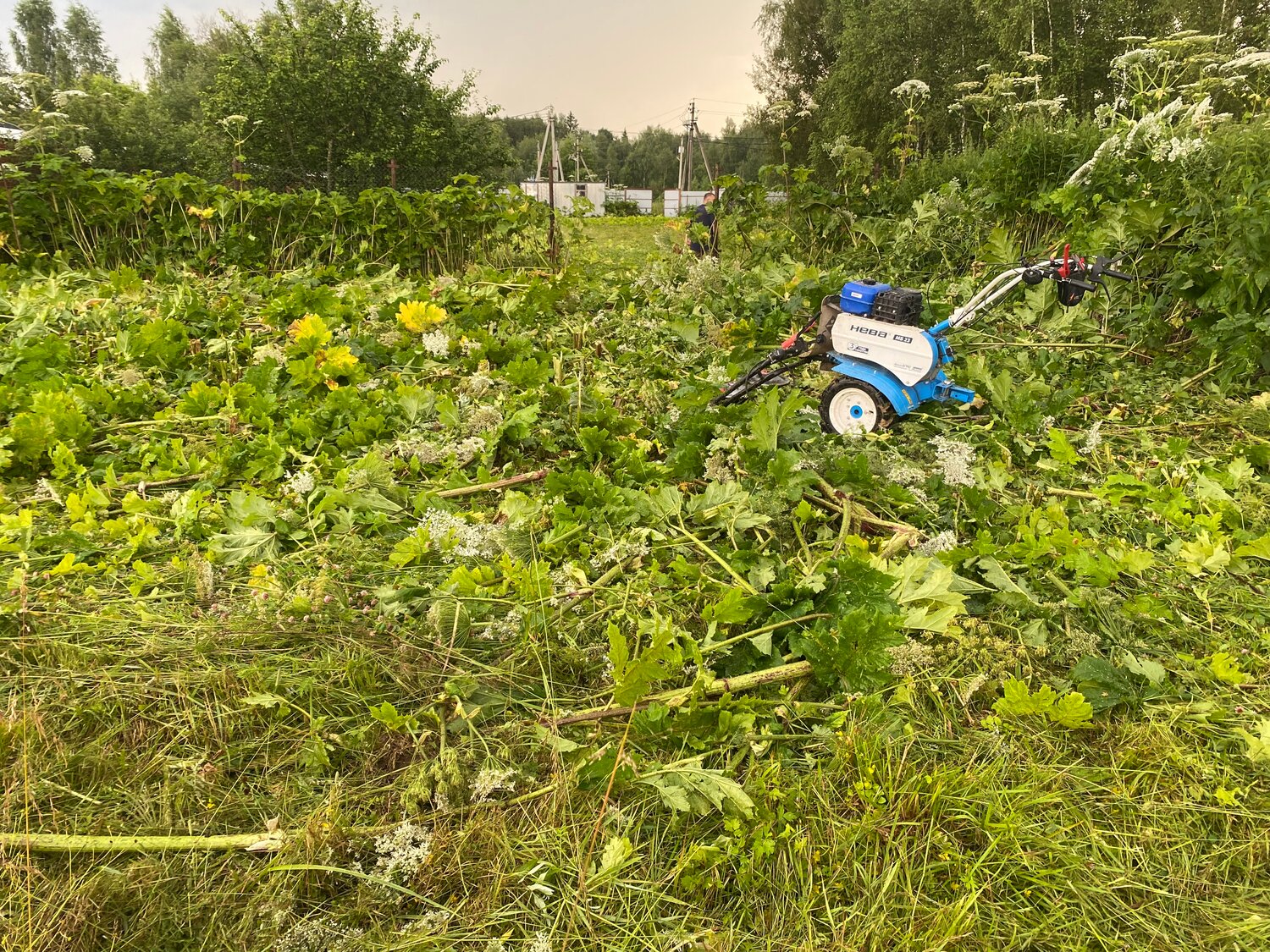 мотоблоки нева, мотоблок нева, мотоблок бу, косилка на мотоблок, мотоблок нева мб