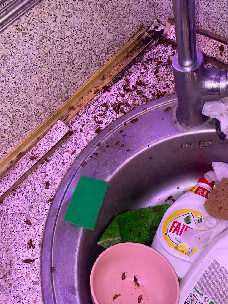 засор в раковине, уборка, вещи в квартире, кухонная мойка, уборка кухни