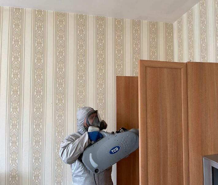 дезинсекция, дезинфекция от клопов, уничтожение клопов, дезинфекция, дезинфекция дезинсекция дератизация