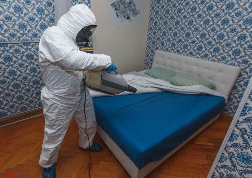 дезинфекция помещений от клопов, уничтожение клопов, дезинсекция, дезинфекция от клопов, обработка от клопов