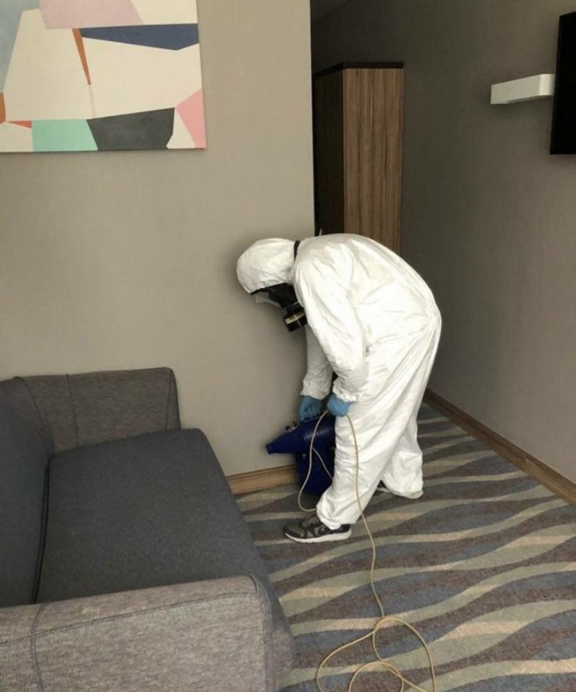 дезинфекция, дезинсекция, дезинфекция дезинсекция дератизация, дезинфекция от клопов в квартире, уничтожение клопов