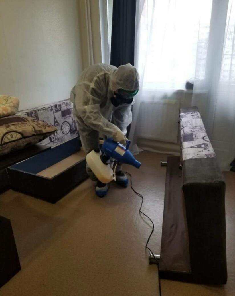 дезинсекция, дезинфекция дезинсекция дератизация, дезинфекция помещений от клопов, дезинфекции, дезинфекция помещений