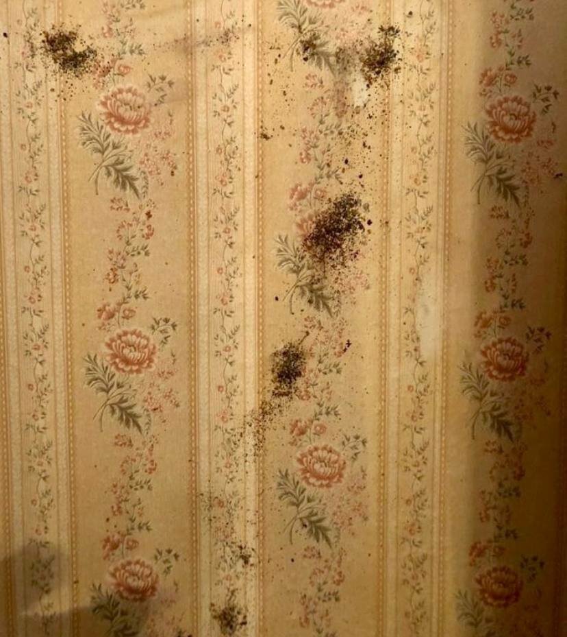 цветочный узор, советские обои для стен, винтажный фон, ткань, цветочная текстура