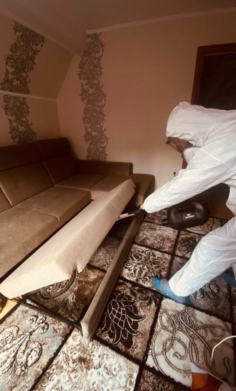 дезинфекция клопов санкт петербург, дезинсекция, дезинфекция от клопов, уничтожение клопов, дезинсекция от клопов