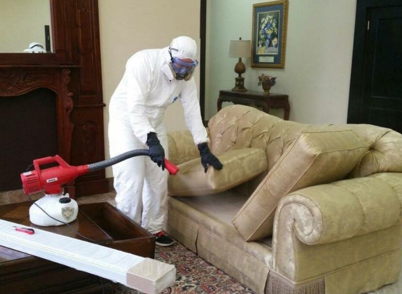 дезинсекция, уничтожение клопов, дезинфекция, дезинсекция в доме, дезинфекция от клопов