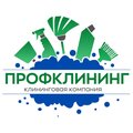 Профклининг