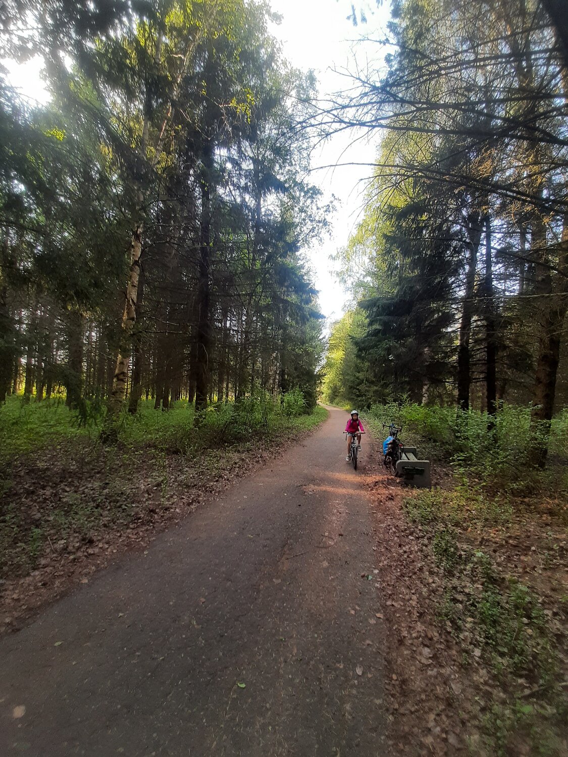 мещерский парк велотрасса, парк, мебель, перед дождем, лес
