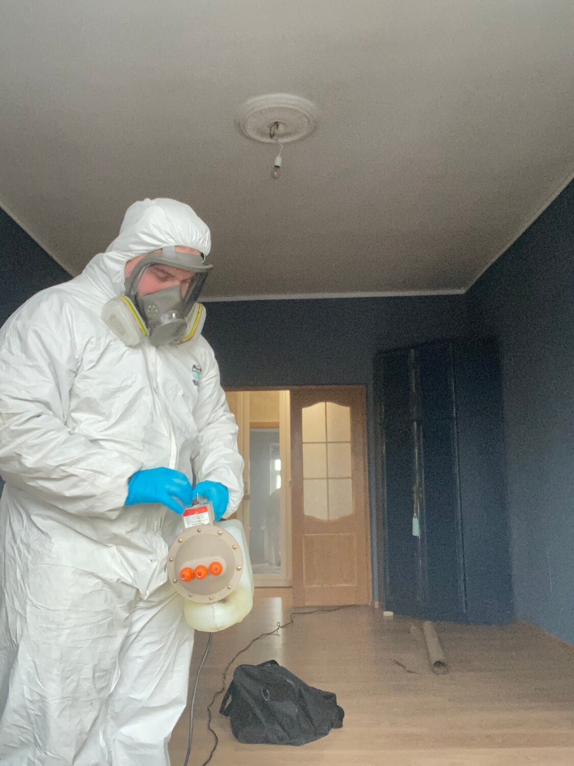 дезинфекция, дезинсекция, дезинфекция дезинсекция дератизация, дезинфекция помещений, дезинсекция и дератизация