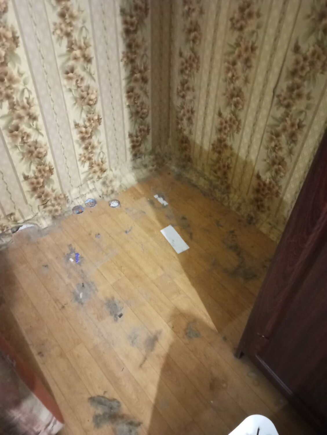 интерьер, квартира, в доме, общежитие, убийства в
