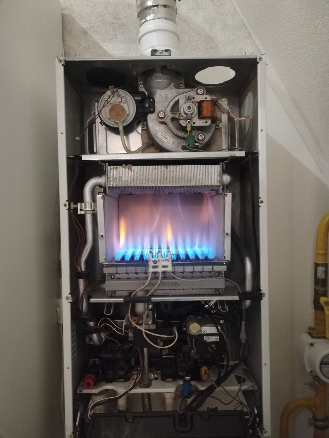 газовый котёл двухконтурный, газовый котел аристон, котел, котел газовый, газовый котел бакси