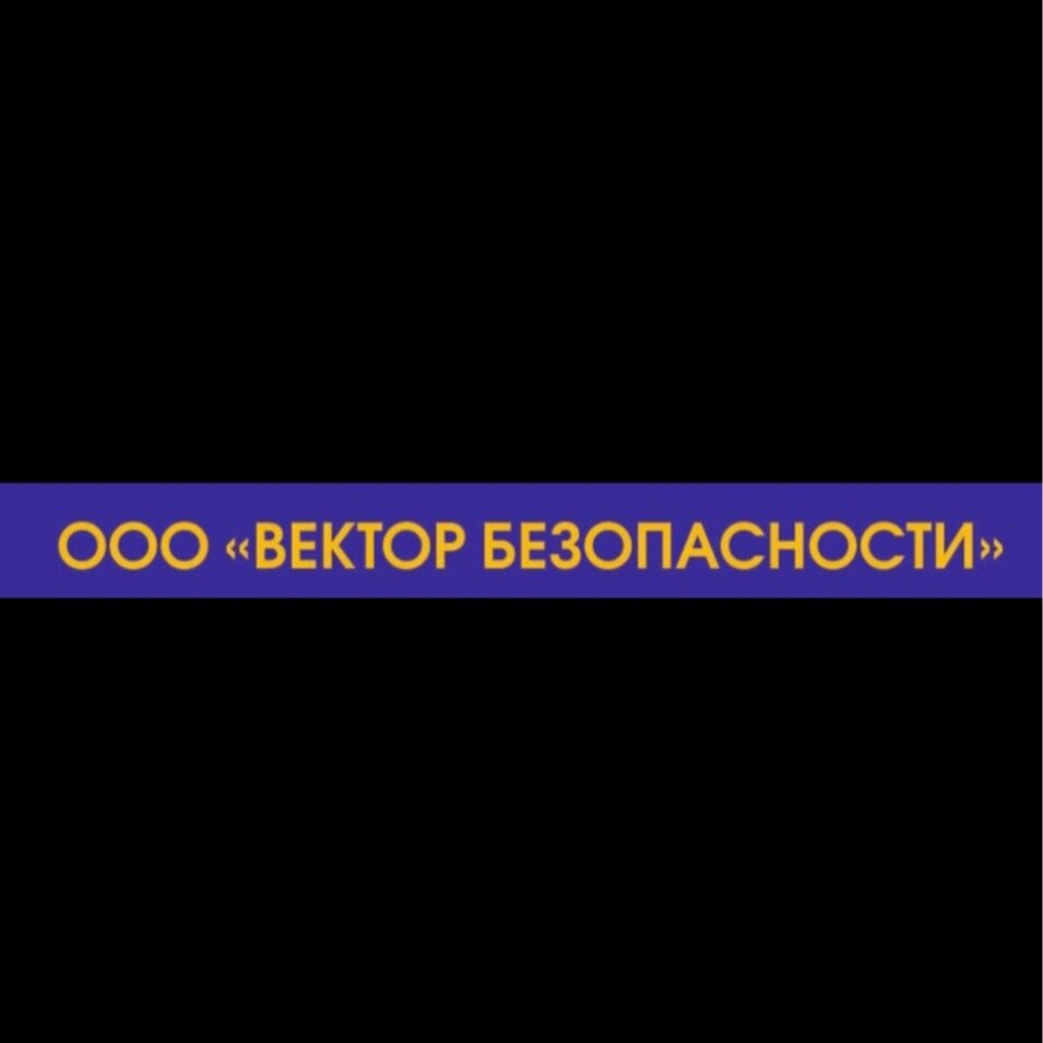 Вектор безопасности