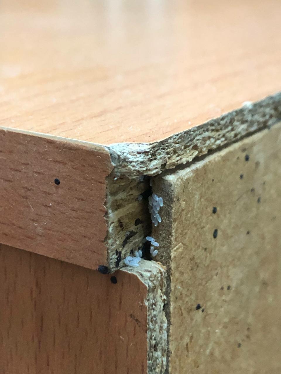 мебель, кромка лдсп, лдсп, кромление лдсп, кромка дсп 2мм пвх