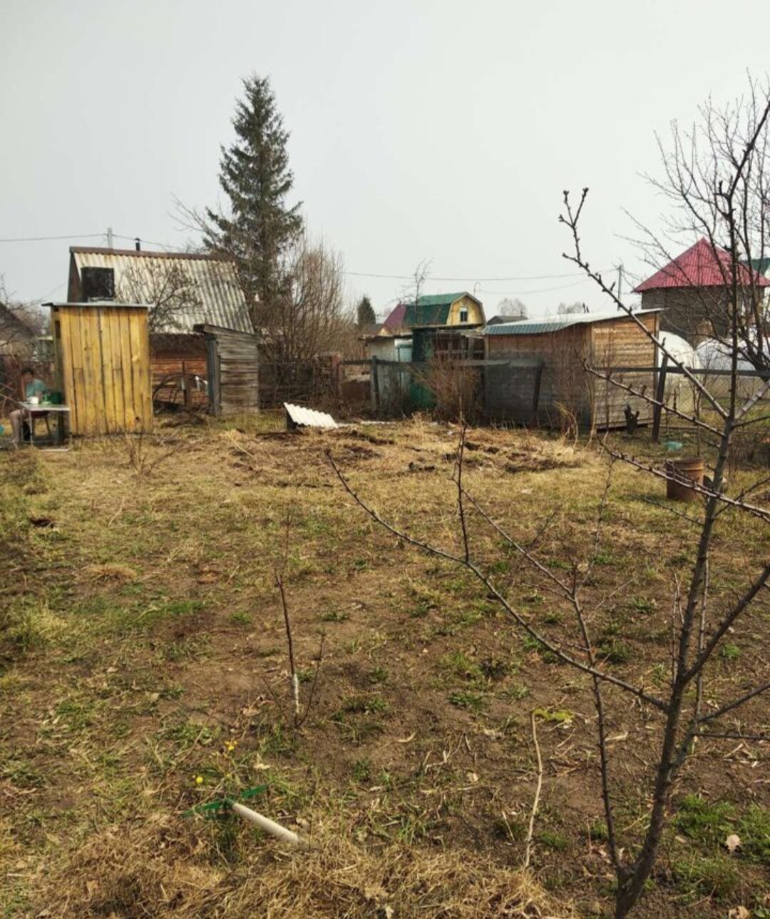 участок, дача, садовый участок, дачный участок, садовое товарищество
