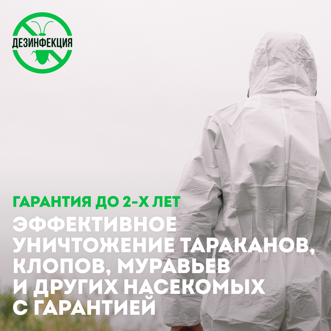 уничтожение клопов, дезинфекция дезинсекция дератизация, дезинфекция от клопов, уничтожение тараканов, уничтожение насекомых реклама