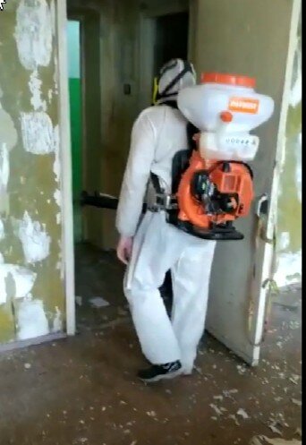 дезинсекция, дезинфекция, дезинфекция и дезинсекция, дезинсекция подвалов, дезинфекция дезинсекция дератизация