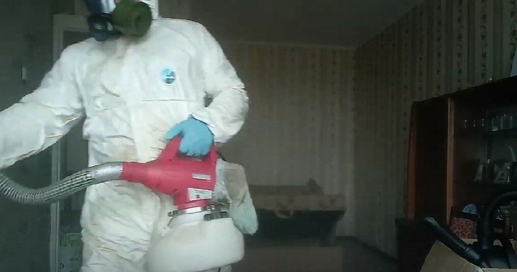 дезинсекция, дезинфекция, дезинфекция дезинсекция дератизация, дезинфекция от клопов, дезинсекция клопов туманом