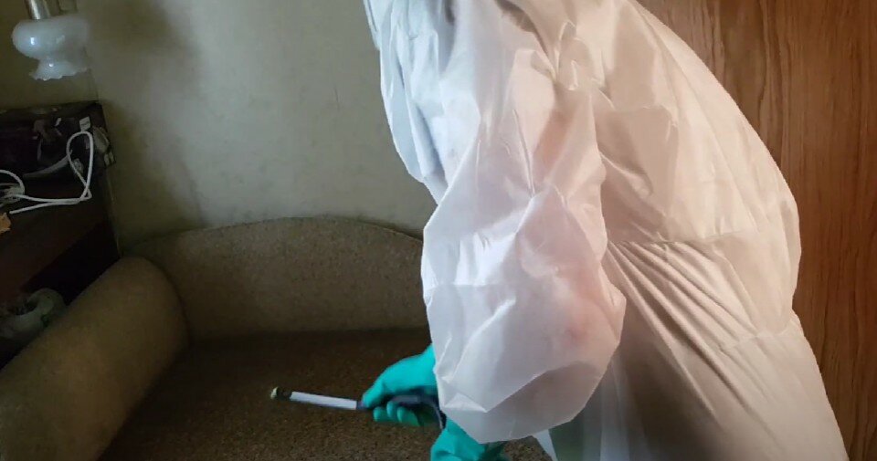 дезинфекция, дезинфекция помещений, дезинсекция, дезинфекция и дезинсекция, дезинфекция офиса