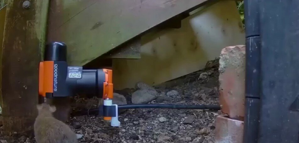 оптические инструменты, оборудование для, автоматическая мышеловка, автоматический, kit