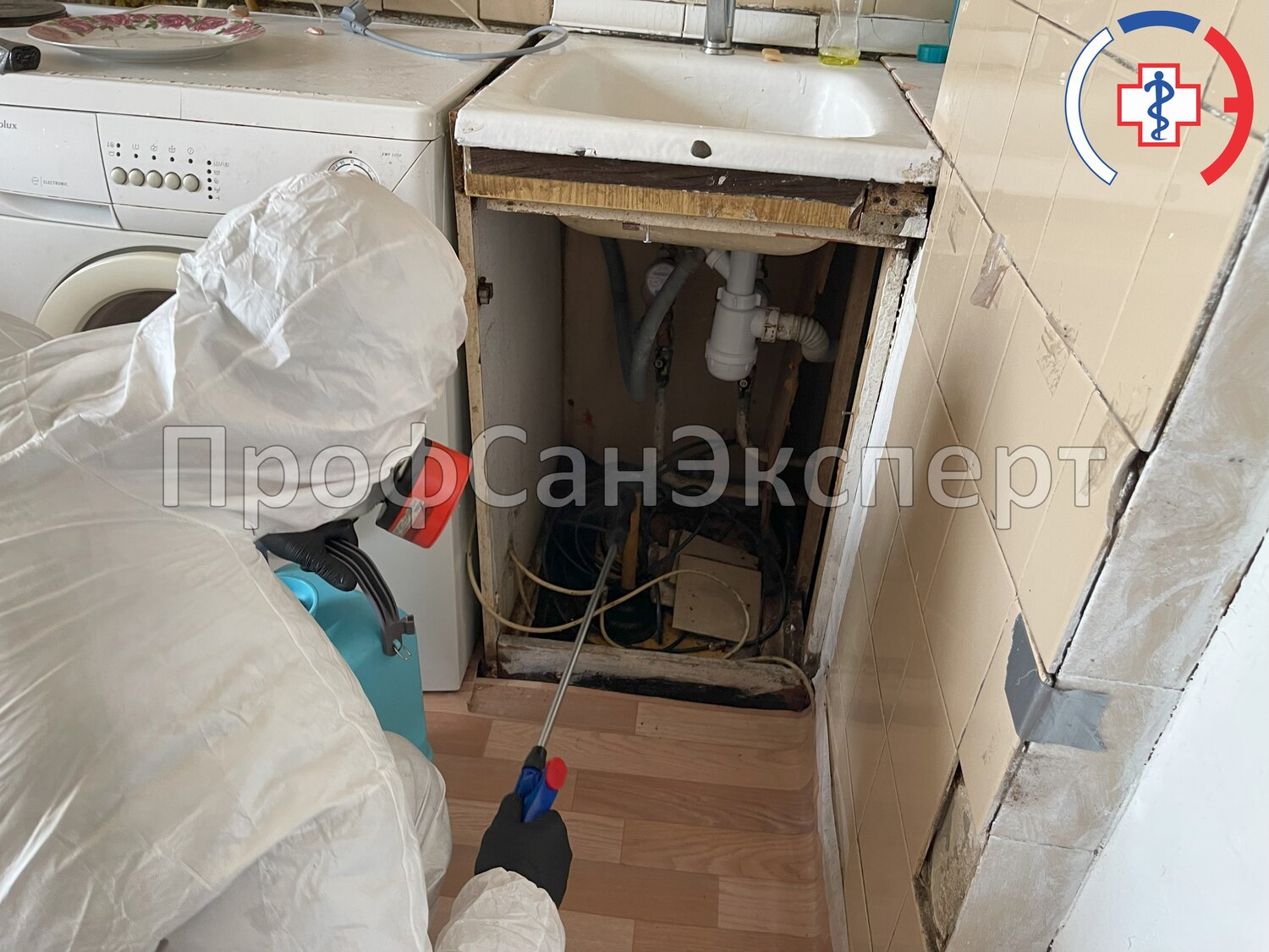 дезинсекция, дезинфекции, уничтожение тараканов, дезинфекция квартиры, обработка от тараканов