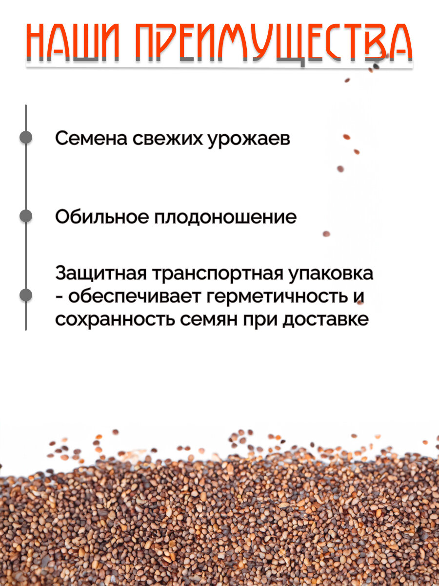 семена редька масличная, семена, гречишный куцяо, гречка, гречневая крупа