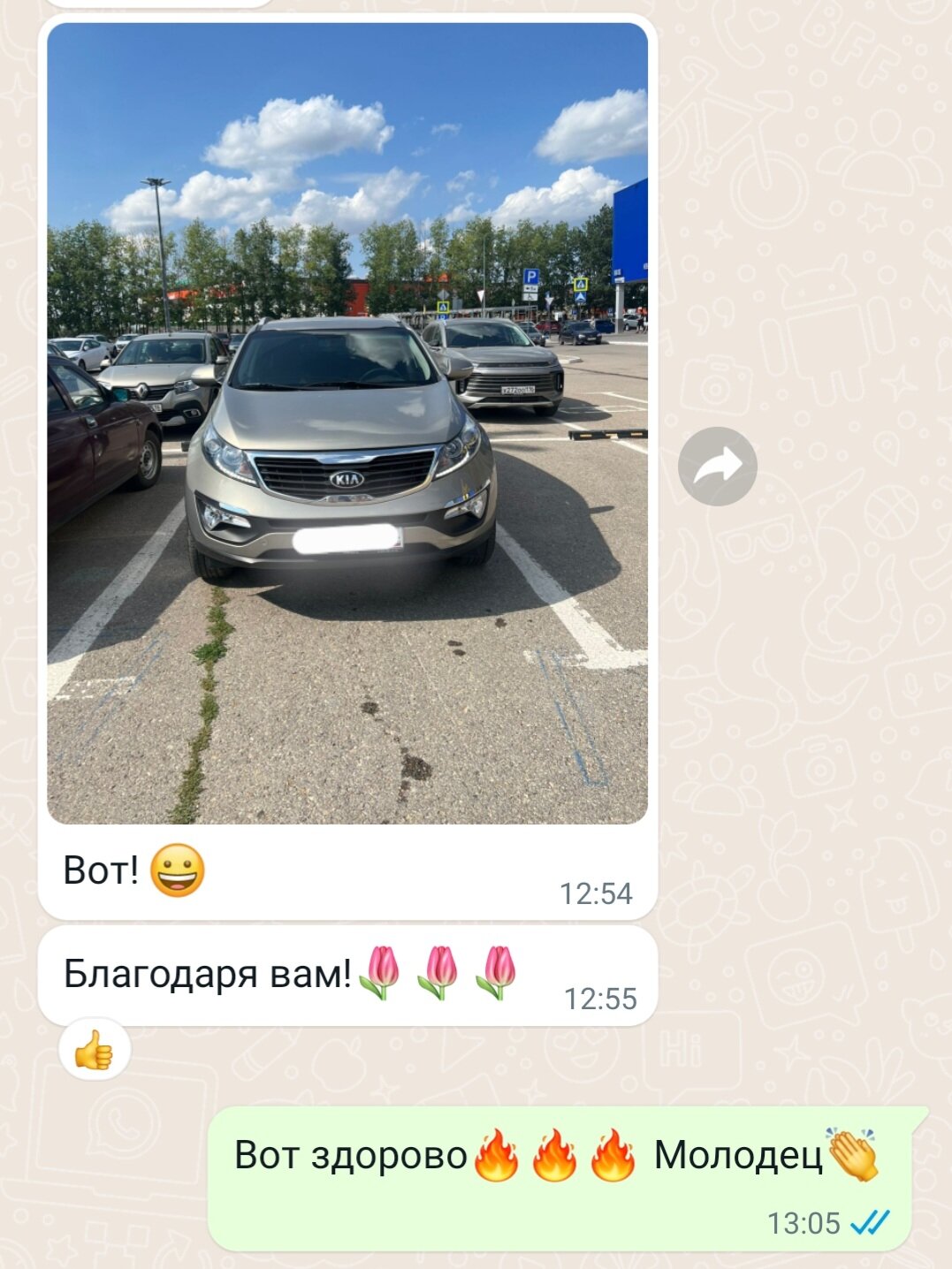 киа спортейдж 3, машина kia sportage, kia sportage iii, киа спортейдж беж, kia sportag