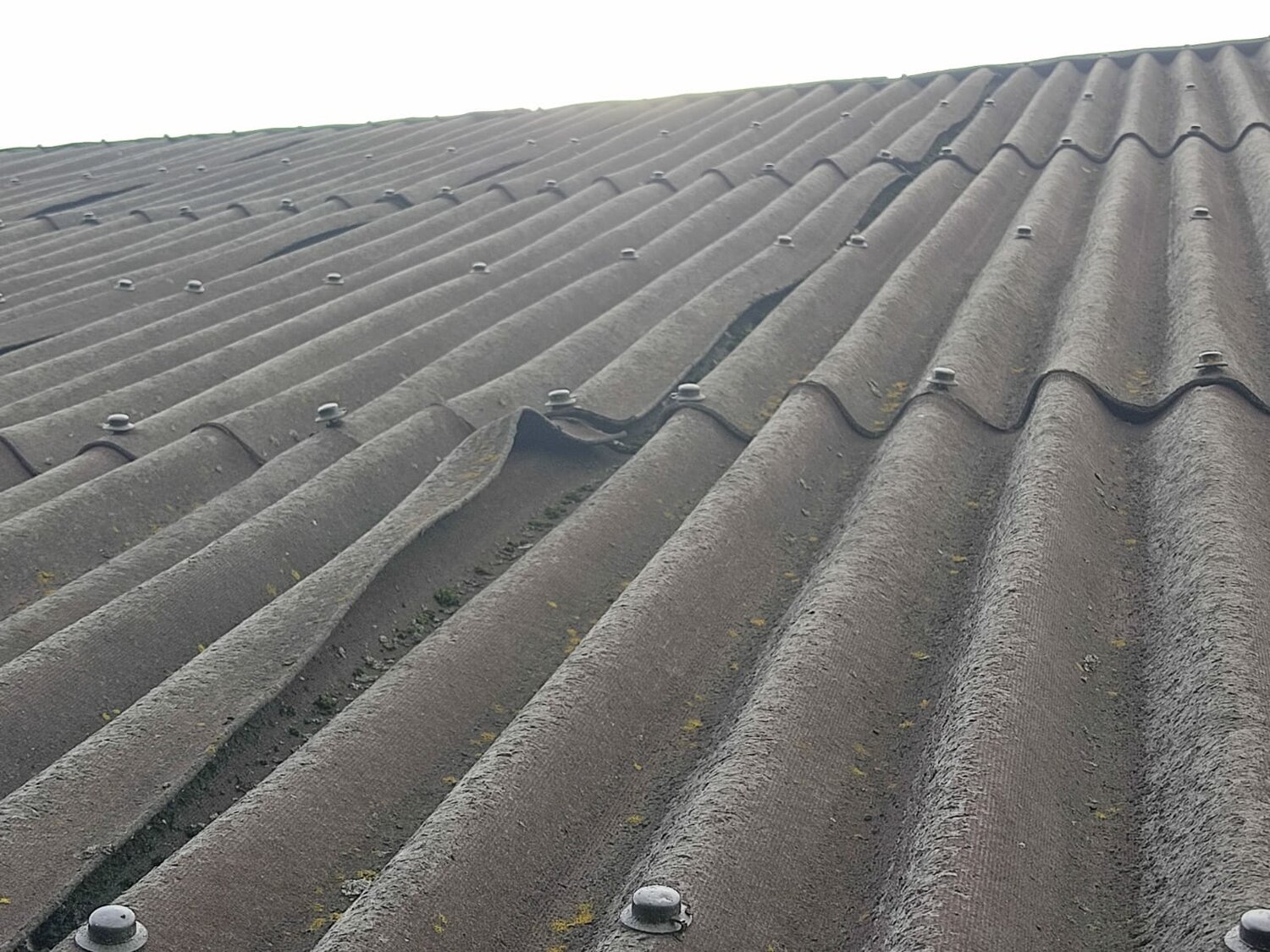 ���������������� ������������, ������������ ���� ������������, ���������� ���� ����������, ���������� ���� ������������, ����������