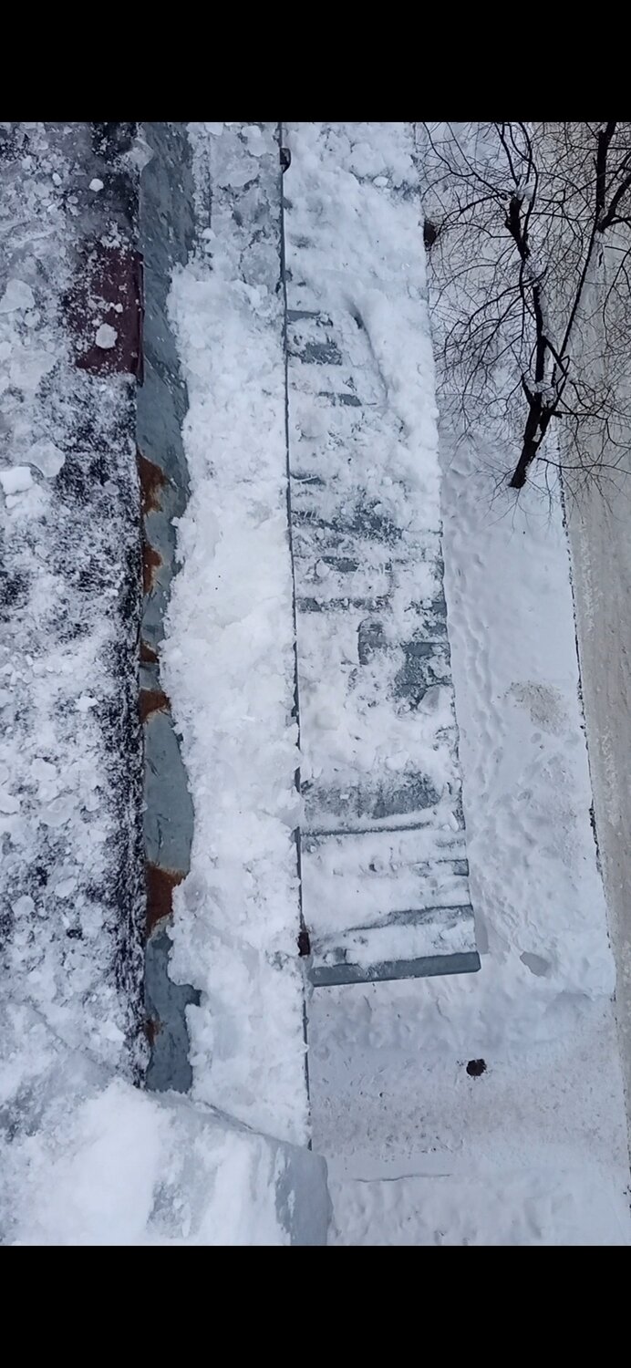 мокрый снег, снег, небольшой снег, первый снег, снег лес