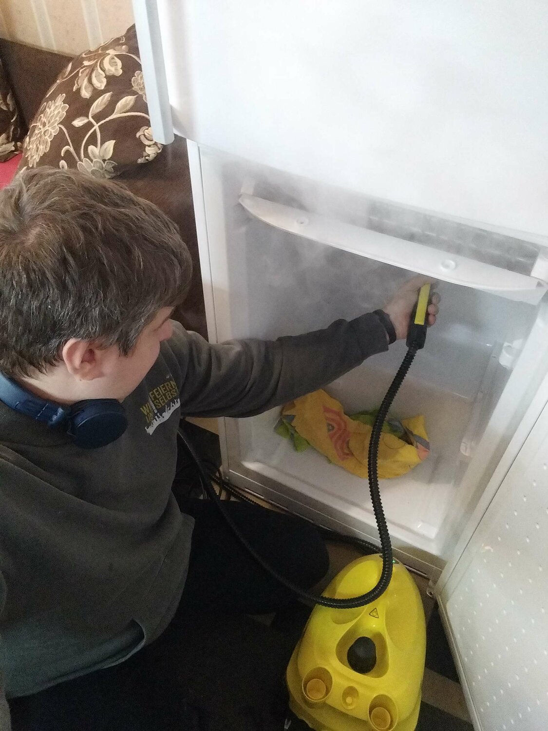 ремонт холодильников, karcher пароочиститель, пароочиститель для дома, пароочиститель керхер kst2, ariston hbu1201.4xnfho3