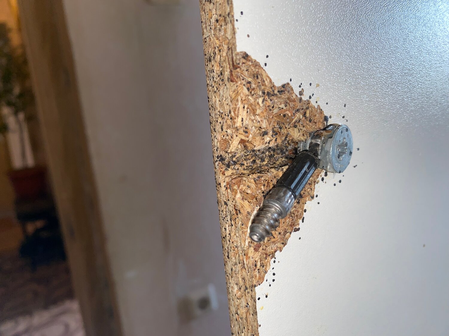 тараканы в квартире, клопы в доме, клопы, клопы тараканы, гнездо тараканов