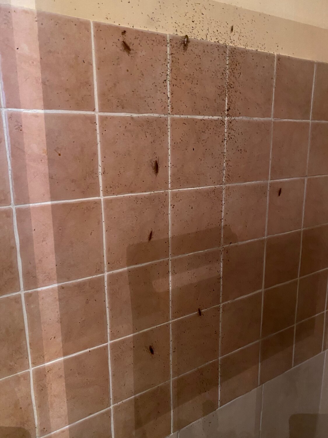 кафель, стена плитка, плитка, пол плитка, укладка кафеля