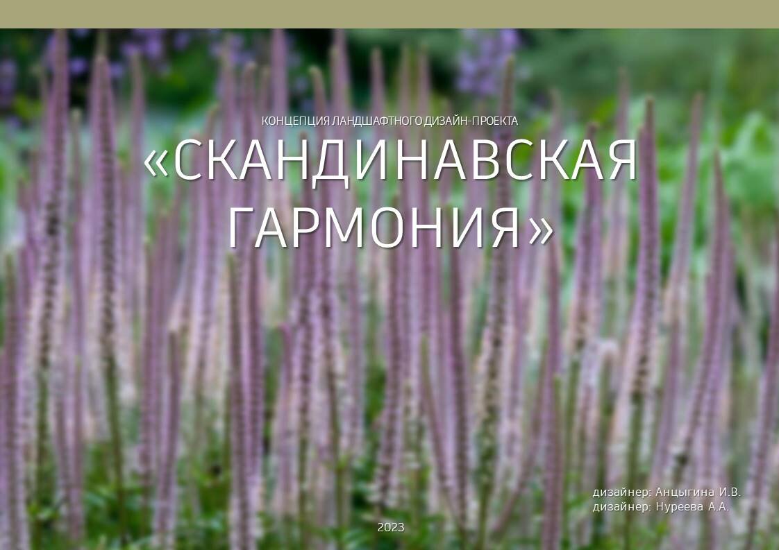 вероникаструм виргинский, вероникаструм виргинский эрика, вероникаструм, вероникаструм виргинский (veronicastrum virginicum), растение