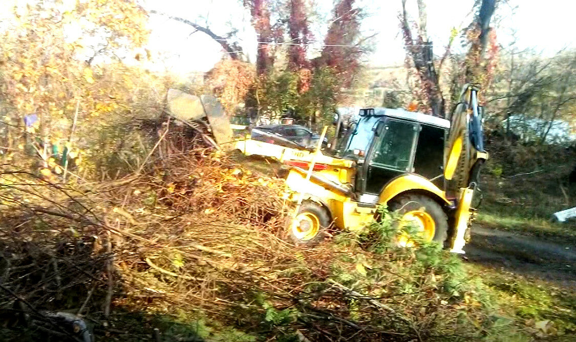 Благоустройство участка и расчистка от зарослей Воронеж