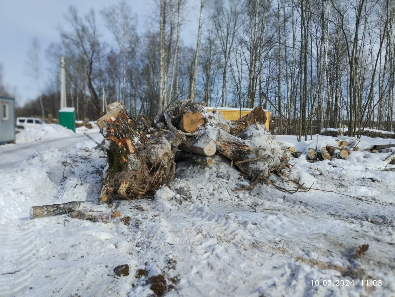 природа, рубка леса, делянка леса, незаконная рубка леса, незаконная рубка