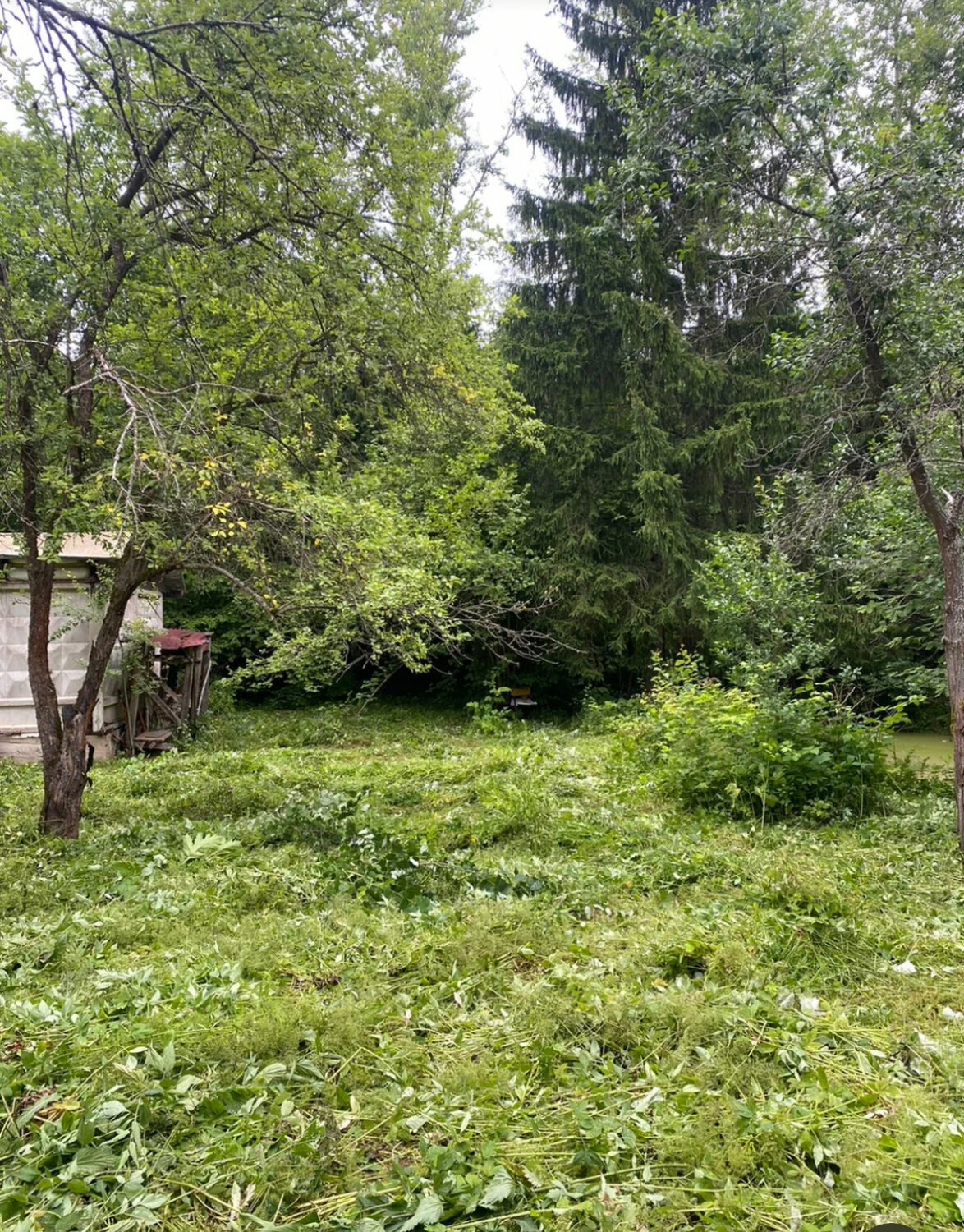 дача, участок, дачный домик, дачный поселок, садовый домик