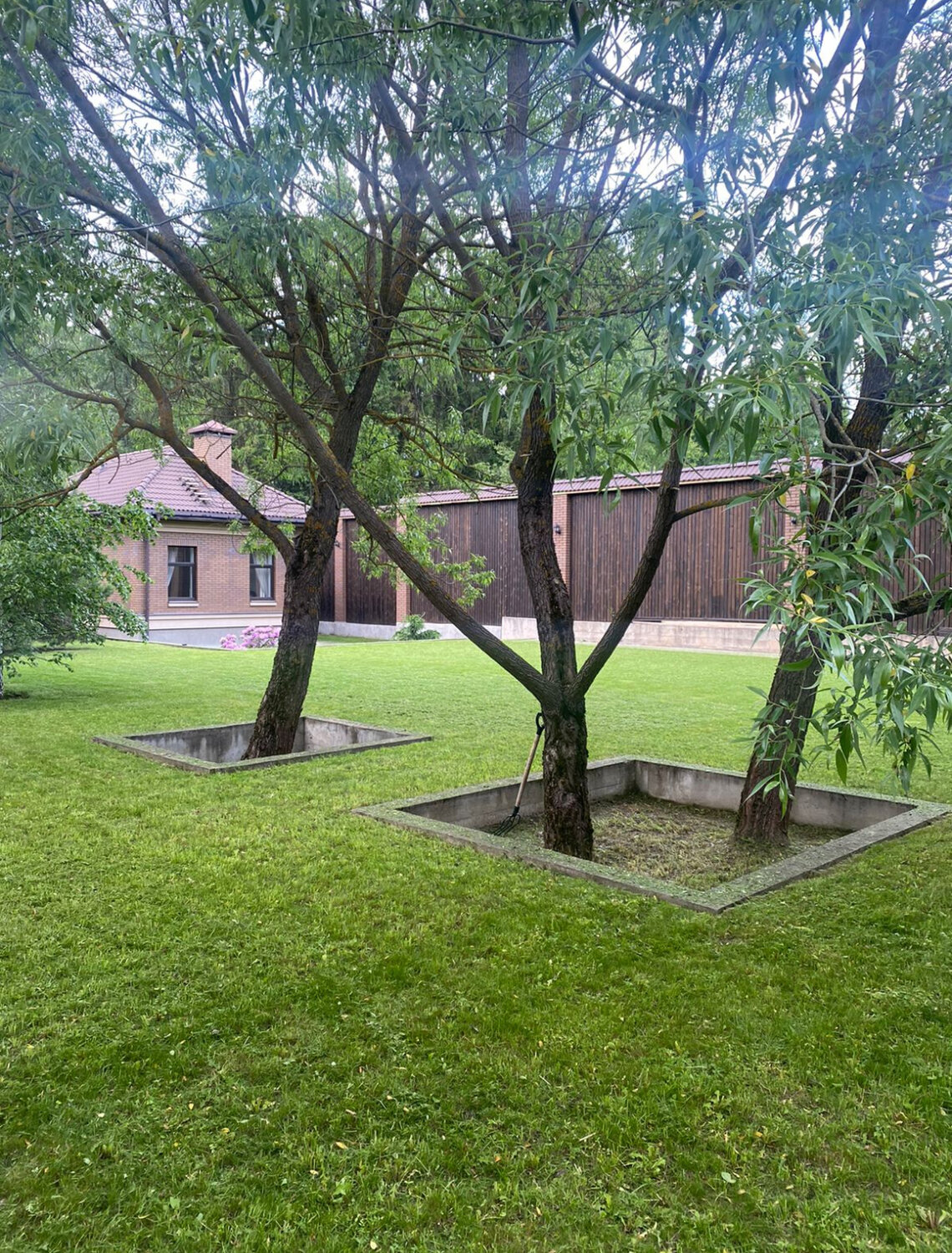 плодовый сад, сад, ландшафтный дизайн садового, ландшафтный дизайн, ландшафтный дизайн сада