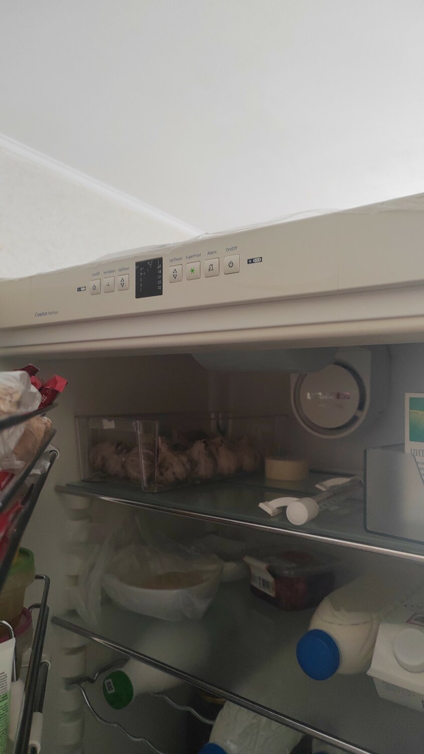 бытовая техника, холодильник, холодильник либхер, двухкамерный холодильник, холодильник либхер двухкамерный внутри