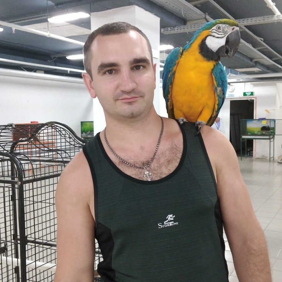 Денис Мещеринов