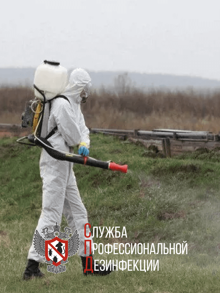дезинсекция, дезинсекция комаров, дезинфекция и дезинсекция, обработка от клещей, санитарная обработка