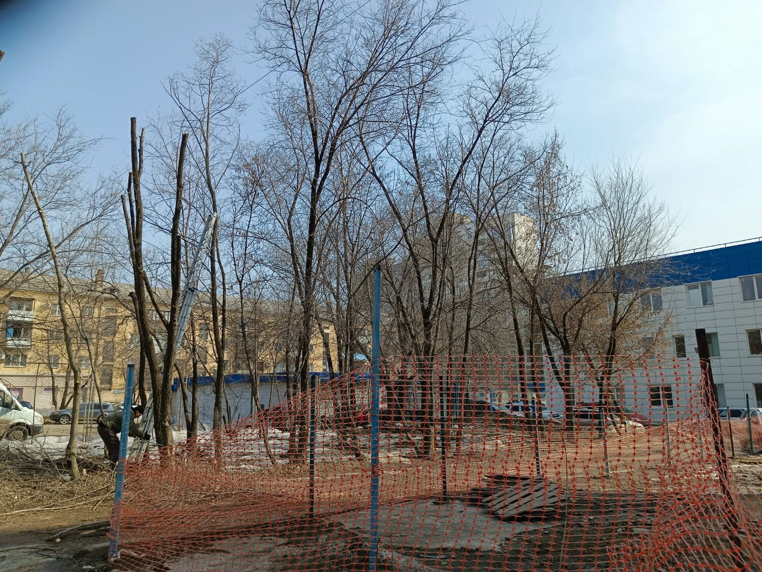 в парк, улица, новый парк, сад парк, спортплощадки
